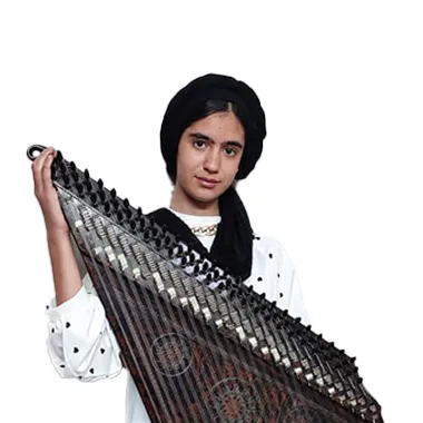 آریسا قپانوری