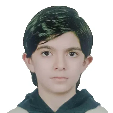 آرین میرزایی
